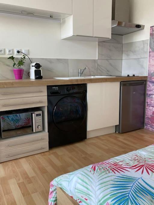 Le Cosy Tassin - Rez De Jardin Apartment Luaran gambar